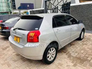 Toyota Corolla RunX 2003 Silver