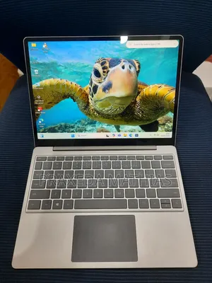 Laptop Microsoft Surface Go 16GB Intel Core I5 SSD 256GB