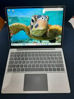 Laptop Microsoft Surface Go 16GB Intel Core I5 SSD 256GB