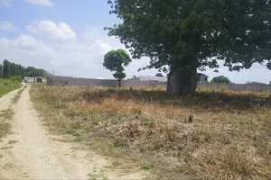 Kiwanja Kinauzwa Bunju B Uwanja Wa Simba