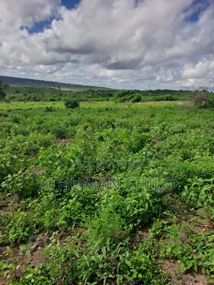 Shamba Linauzwa
