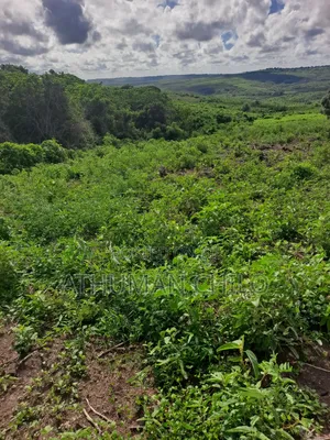 Shamba Linauzwa