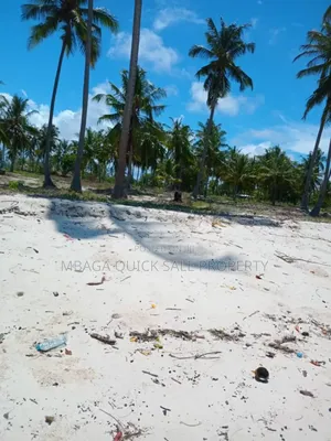Beach Plot for Sale at Tanga Pangani Near Kipumbwi Port