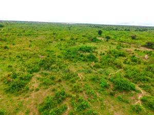 Industrial Area Plot for Sale at Zegereni Misugusugu