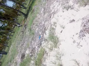 Beach Plot With 10 Acres for at Kilwa Masoko