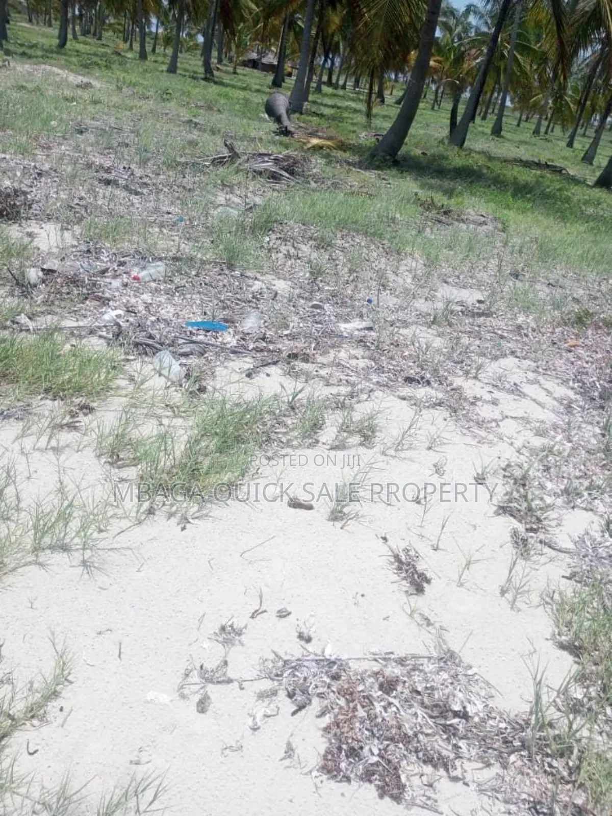 Beach Plot With 10 Acres for at Kilwa Masoko