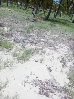 Beach Plot With 10 Acres for at Kilwa Masoko