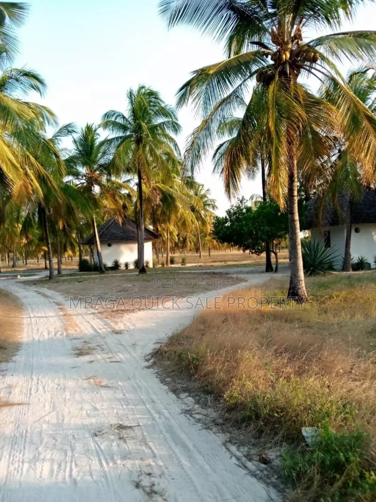 Beach Plot With 10 Acres for at Kilwa Masoko