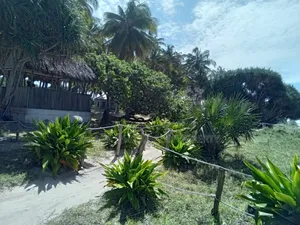 Beach Plot for Sale at Mkuranga Border Kigamboni