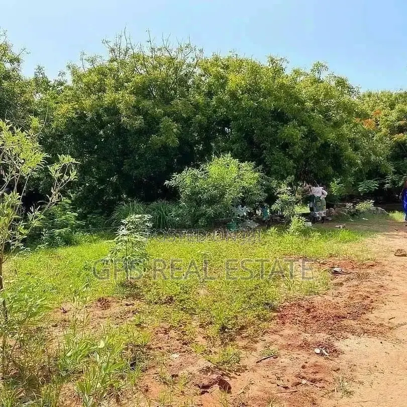 Beach Plot for Sale