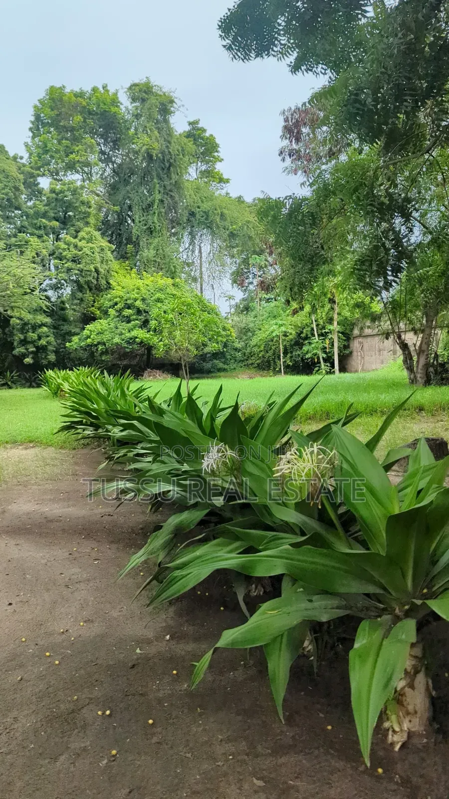 Industrial Estate for Sale at Kurasini Uhamiaji