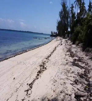 Beach Plot for Sale Kizimkazi Zanzibar