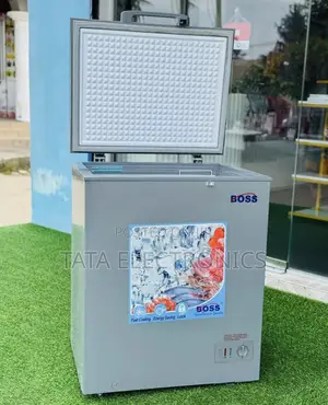 Boss 150 Liter Chest Freezer || Be-150ss