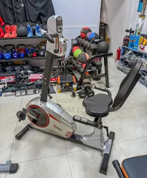 Recumbent Bike for Oldman