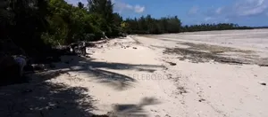 Beach Plot at Zenji Kizimkazi