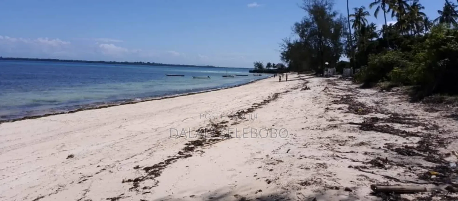Beach Plot at Zenji Kizimkazi