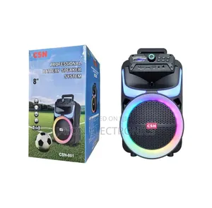 CSN Professional Speaker With Mic