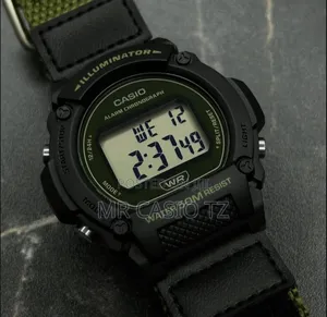 Casio W-219hb-3avdf