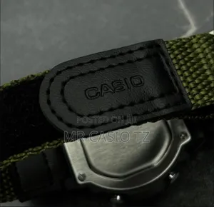 Casio W-219hb-3avdf