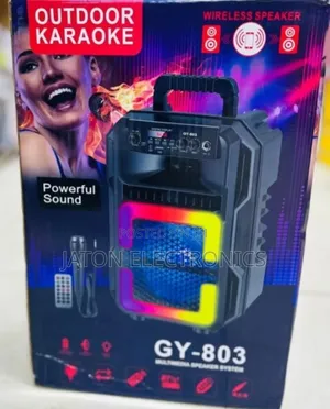 Karaoke Wireless Speaker With Mic