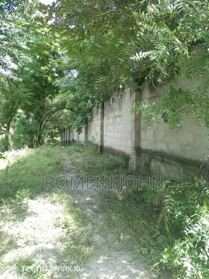 Eneo La Kibiashara+ Nyumba Linauzwa Milioni 500 Mkolemba.