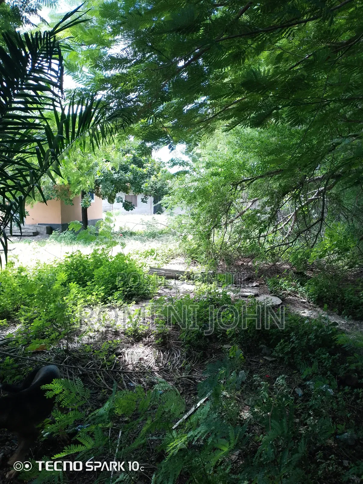 Eneo La Kibiashara+ Nyumba Linauzwa Milioni 500 Mkolemba.