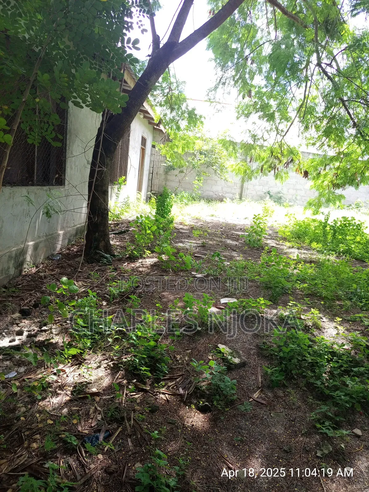 Eneo Sqmita/3000+Nyumba Linauzwa Ml 500 Ukonga Mkolemba.