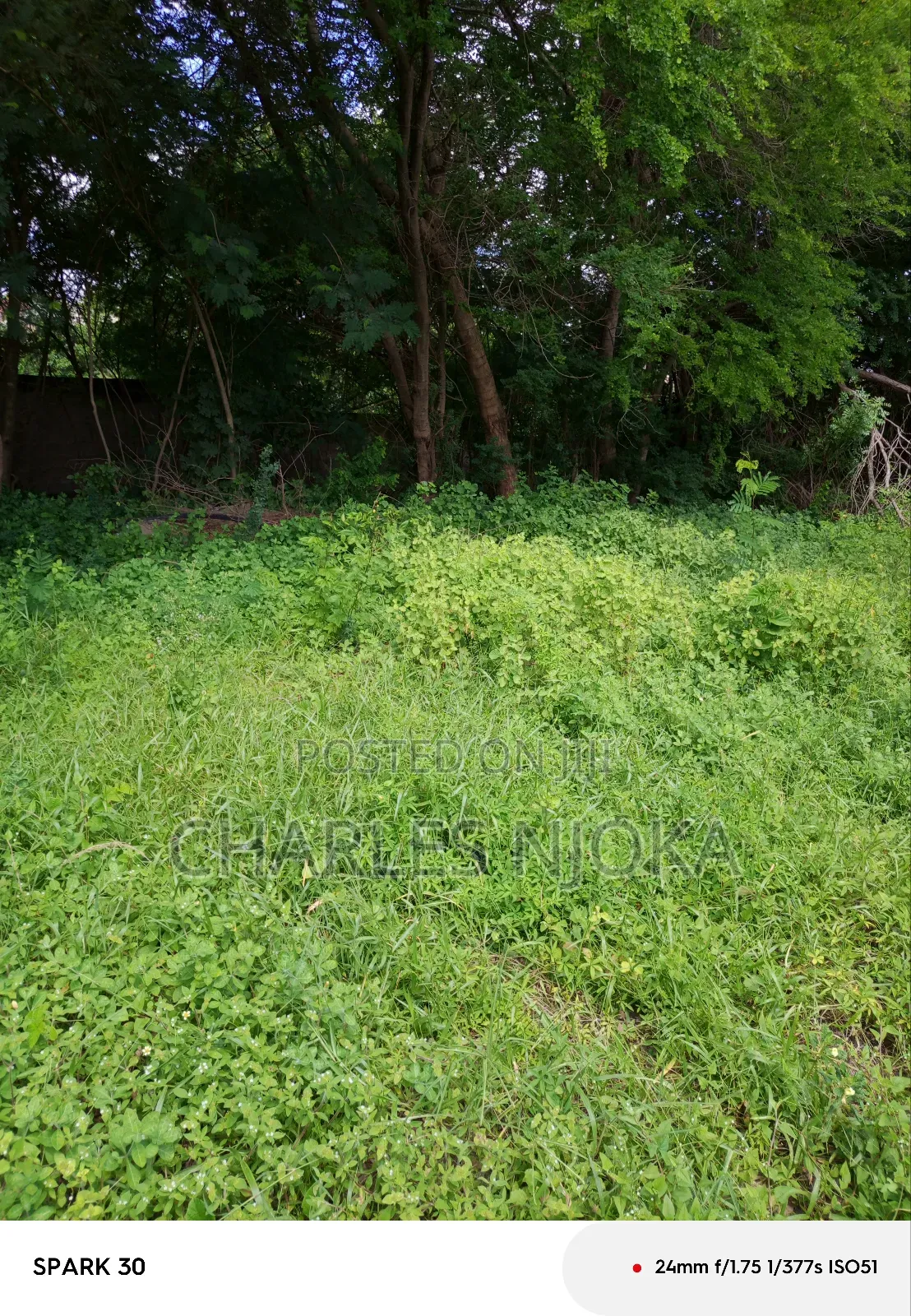 Eneo Sqmita/3000+Nyumba Linauzwa Ml 500 Ukonga Mkolemba.