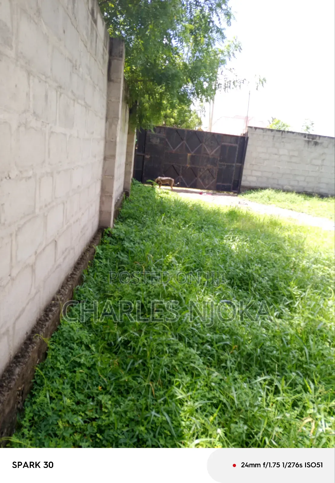 Eneo Sqmita/3000+Nyumba Linauzwa Ml 500 Ukonga Mkolemba.