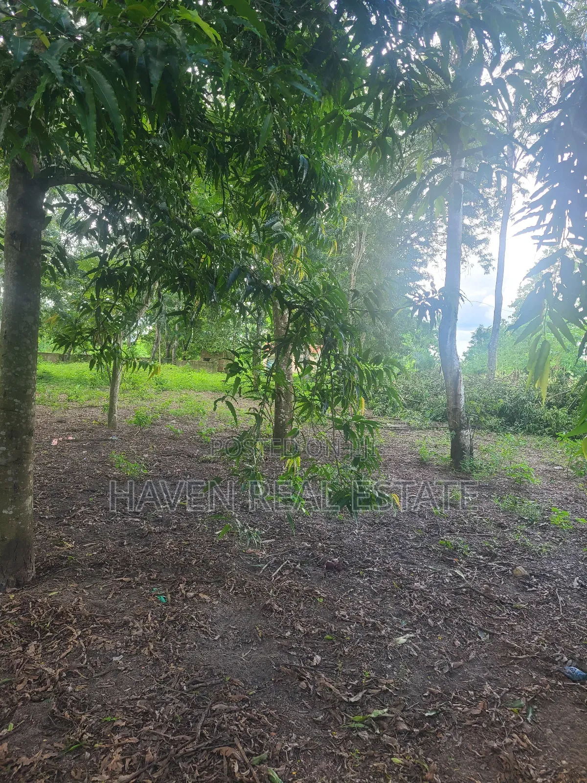 180 Acres Zinauzwa Mlandizi