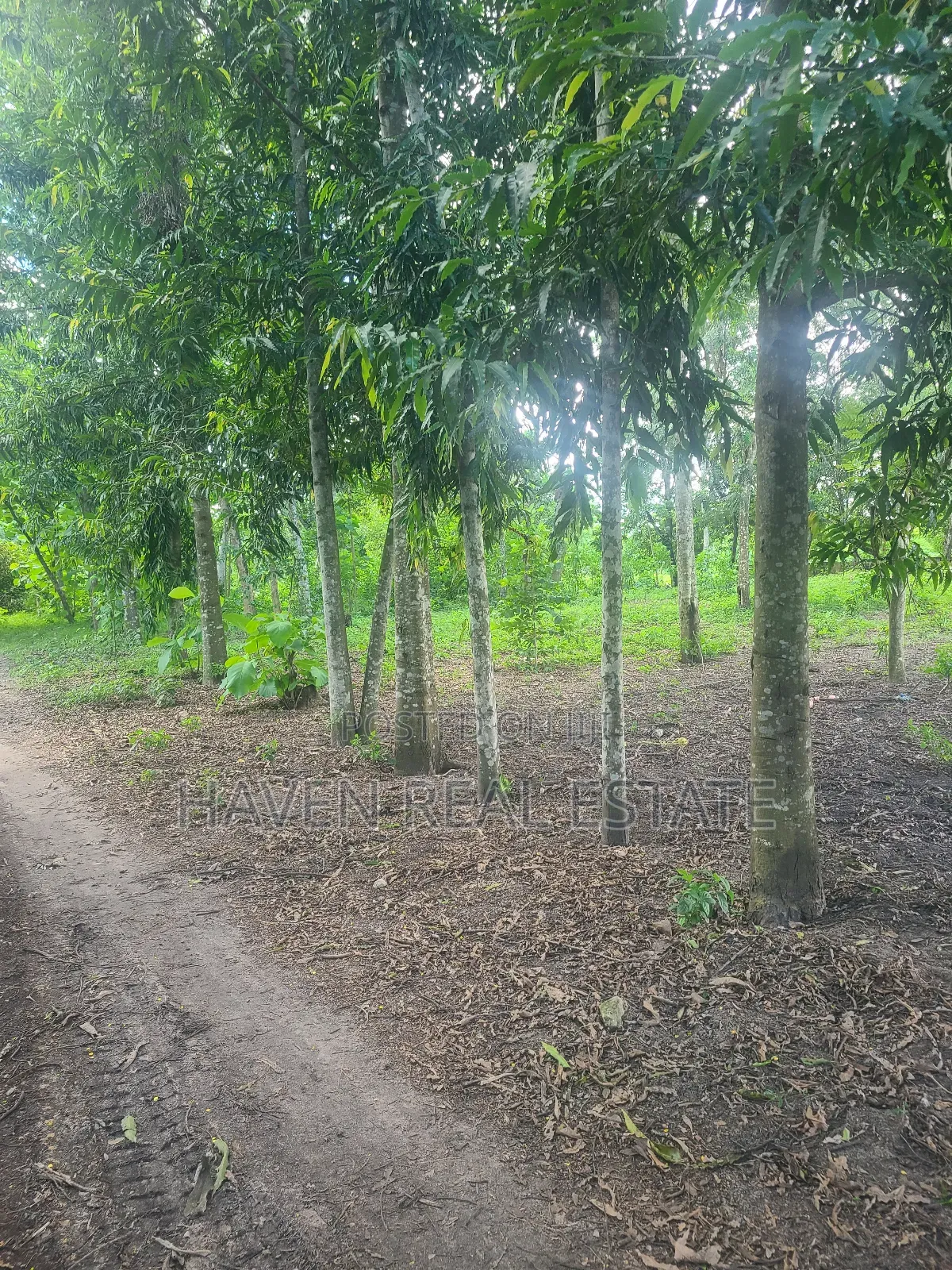 180 Acres Zinauzwa Mlandizi