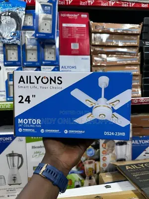 Ailyons 24 Inches Ceiling Fan