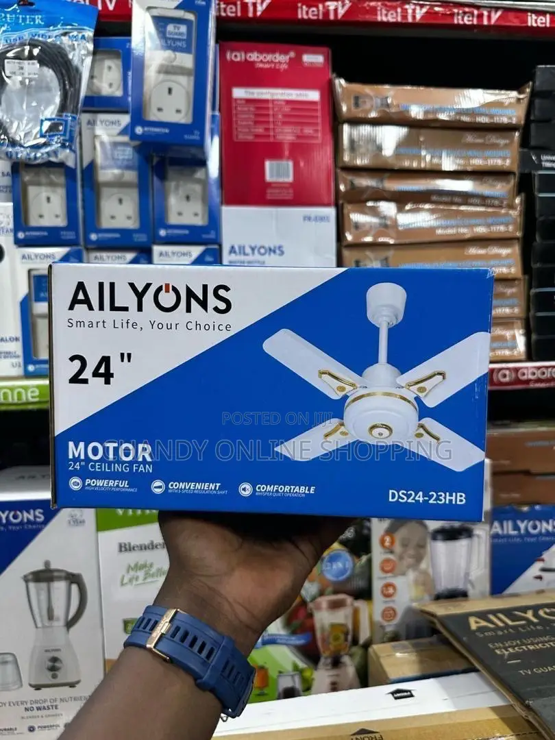 Ailyons 24 Inches Ceiling Fan