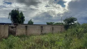 Furnished 2bdrm Farm House in Kitelewasi Street, Iringa Municipal