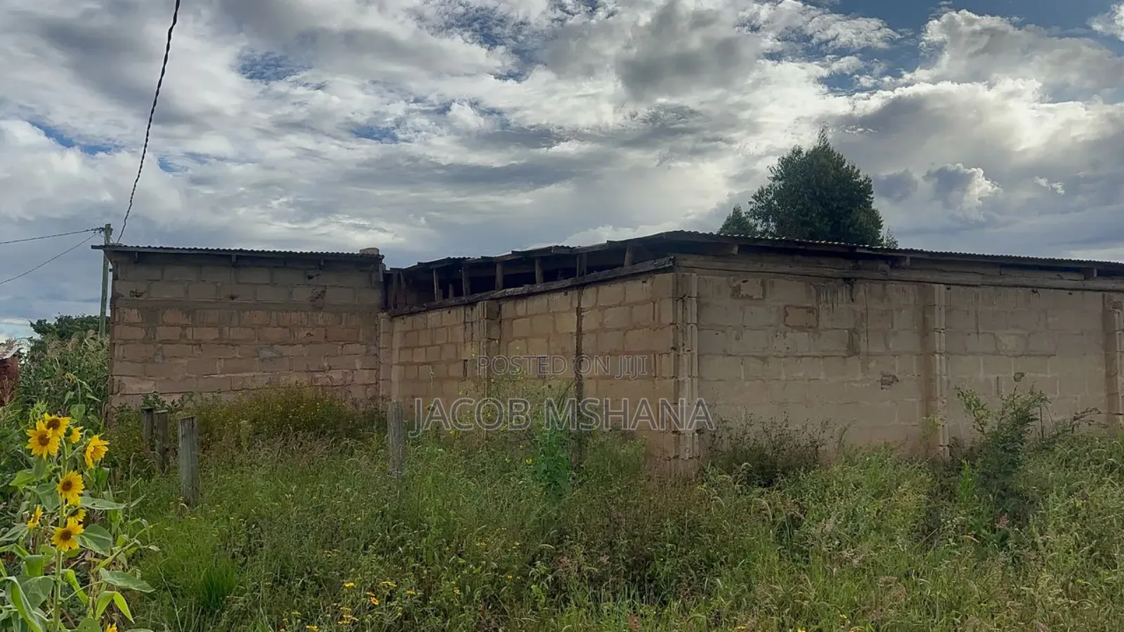 Furnished 2bdrm Farm House in Kitelewasi Street, Iringa Municipal