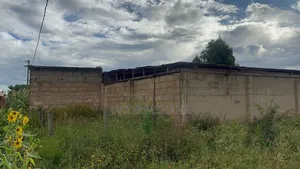Furnished 2bdrm Farm House in Kitelewasi Street, Iringa Municipal