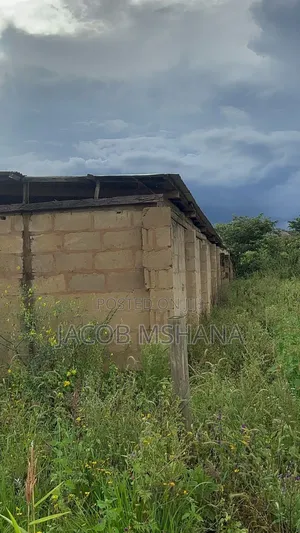 Furnished 2bdrm Farm House in Kitelewasi Street, Iringa Municipal