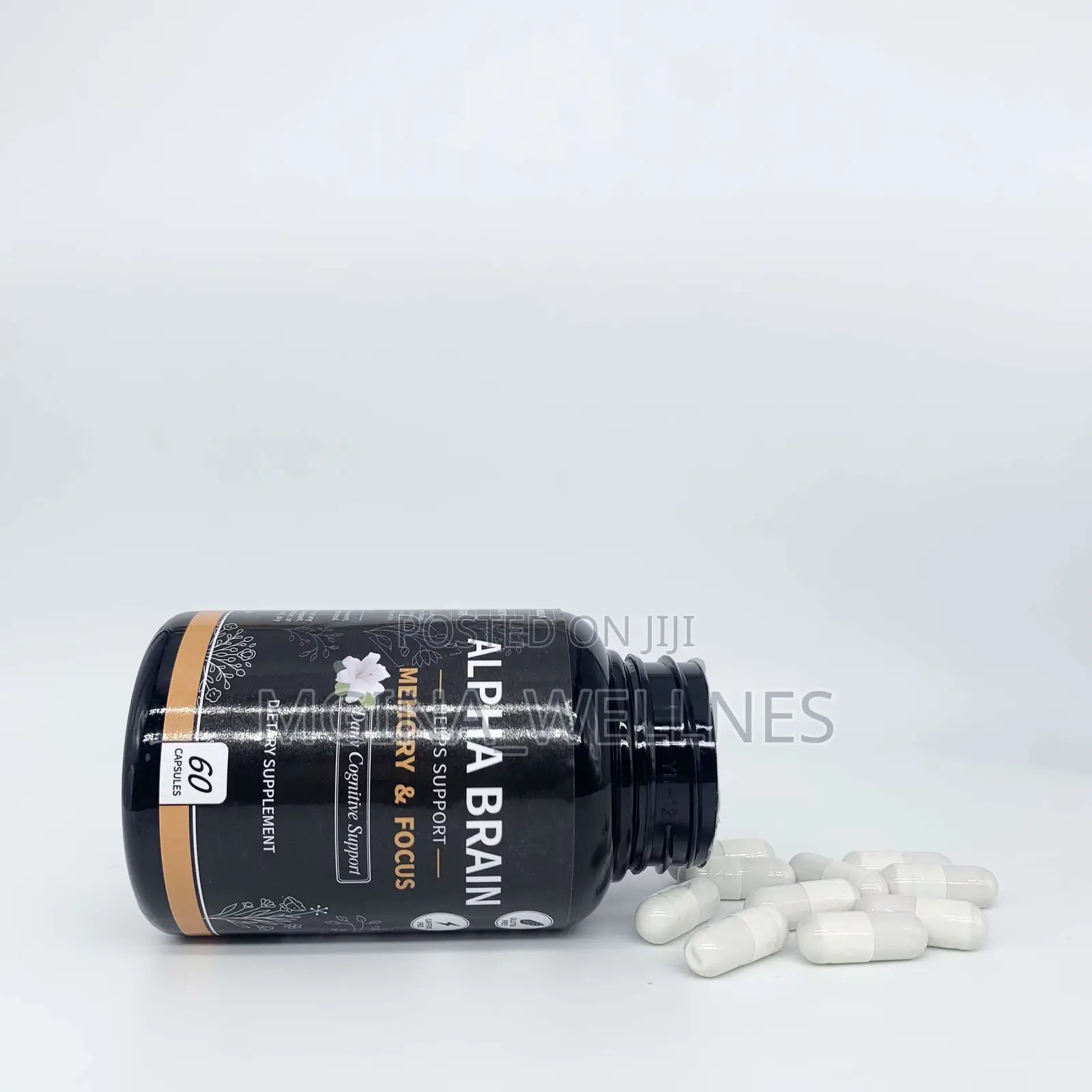 Alpha Brain Promotes Focus, Concentration Memory
