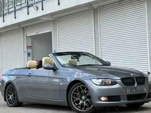 BMW 3 Series 2010 Gray