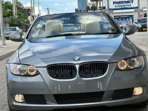 BMW 3 Series 2010 Gray
