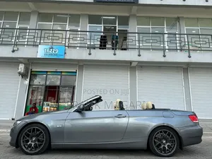 BMW 3 Series 2010 Gray