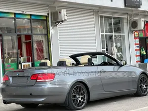 BMW 3 Series 2010 Gray