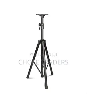 Professional Speaker Stand