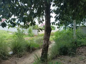 Kiwanja SQM 500 Mbezi Makabe Kanisa La Roma