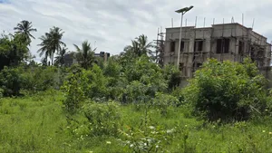 Kiwanja Kinauzwa Madale