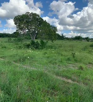 Industry Area for Sale Kibaha