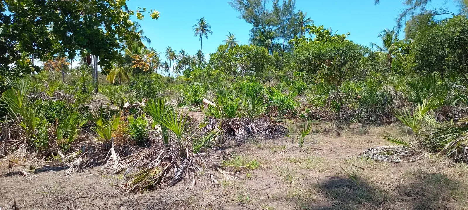 Beach Plot at Kigamboni