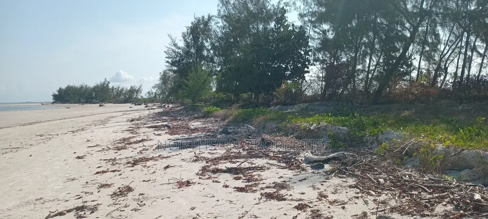 Beach Plot at Kigamboni