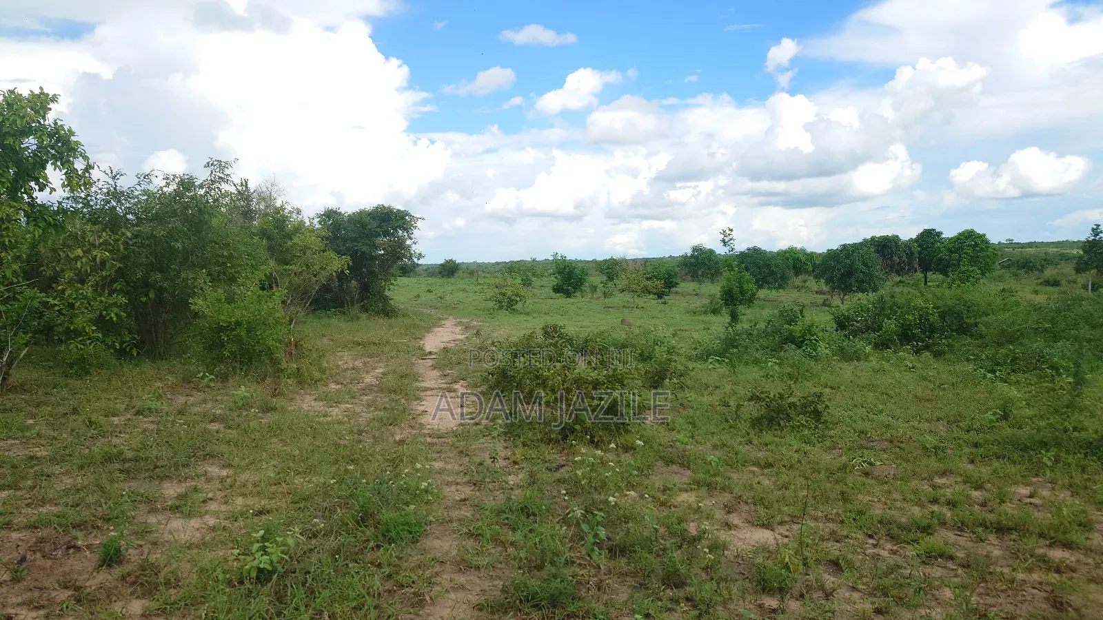 Shama La Ekari 7 Linauzwa Bagamoyo