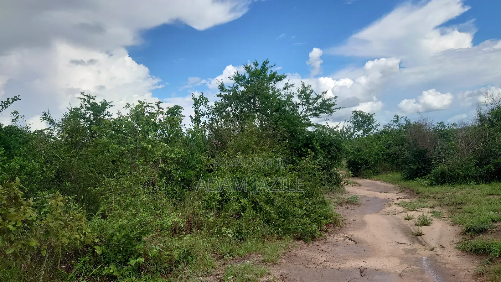 Shama La Ekari 7 Linauzwa Bagamoyo